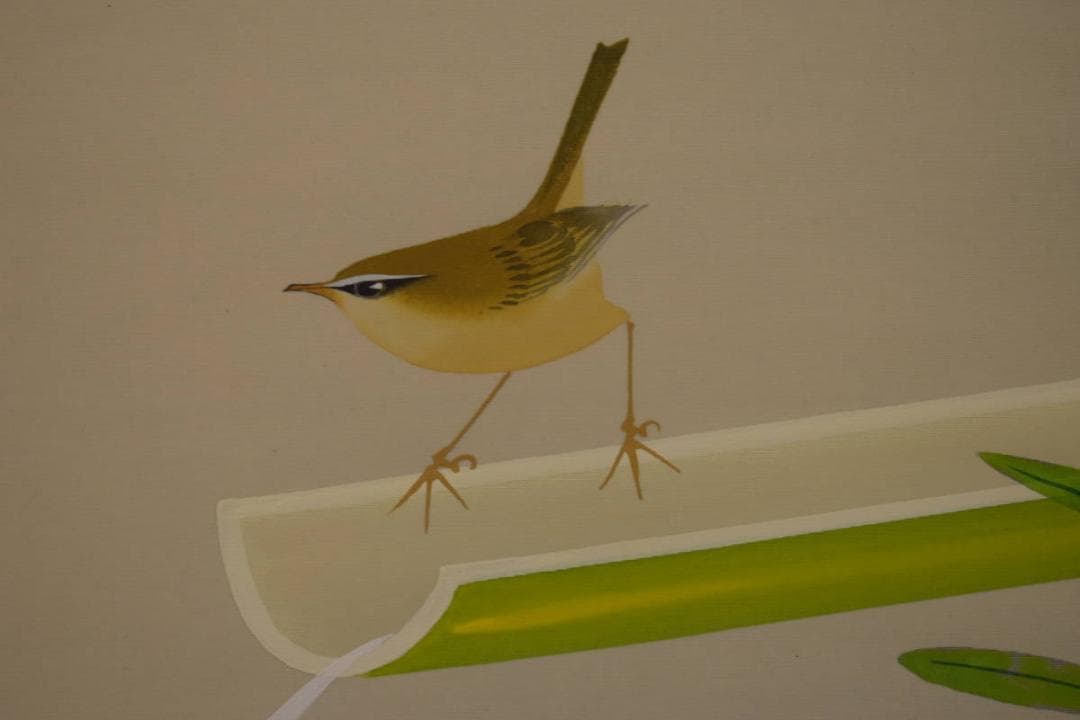 真作/清風/早春/小禽図/桐共箱付/布袋屋掛軸HI-807 真作/清風/早春/小禽図/桐共箱付/布袋屋掛軸HI-807