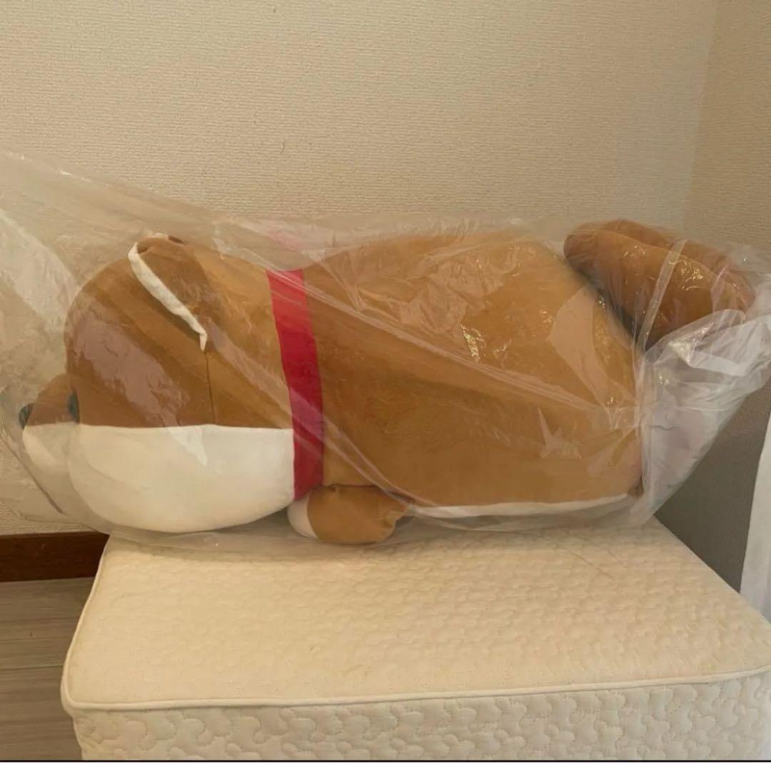 新品ハッピーまめしば【特賞】ぬいぐるみ特大柴犬豆柴豆しばまめ柴