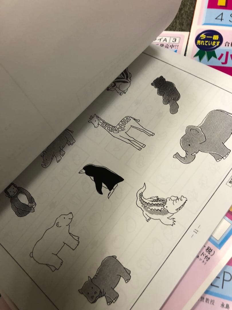 カーサ・フェミニナ 小学校受験 幼児テスト トライA 1〜12 書き込み/解答無