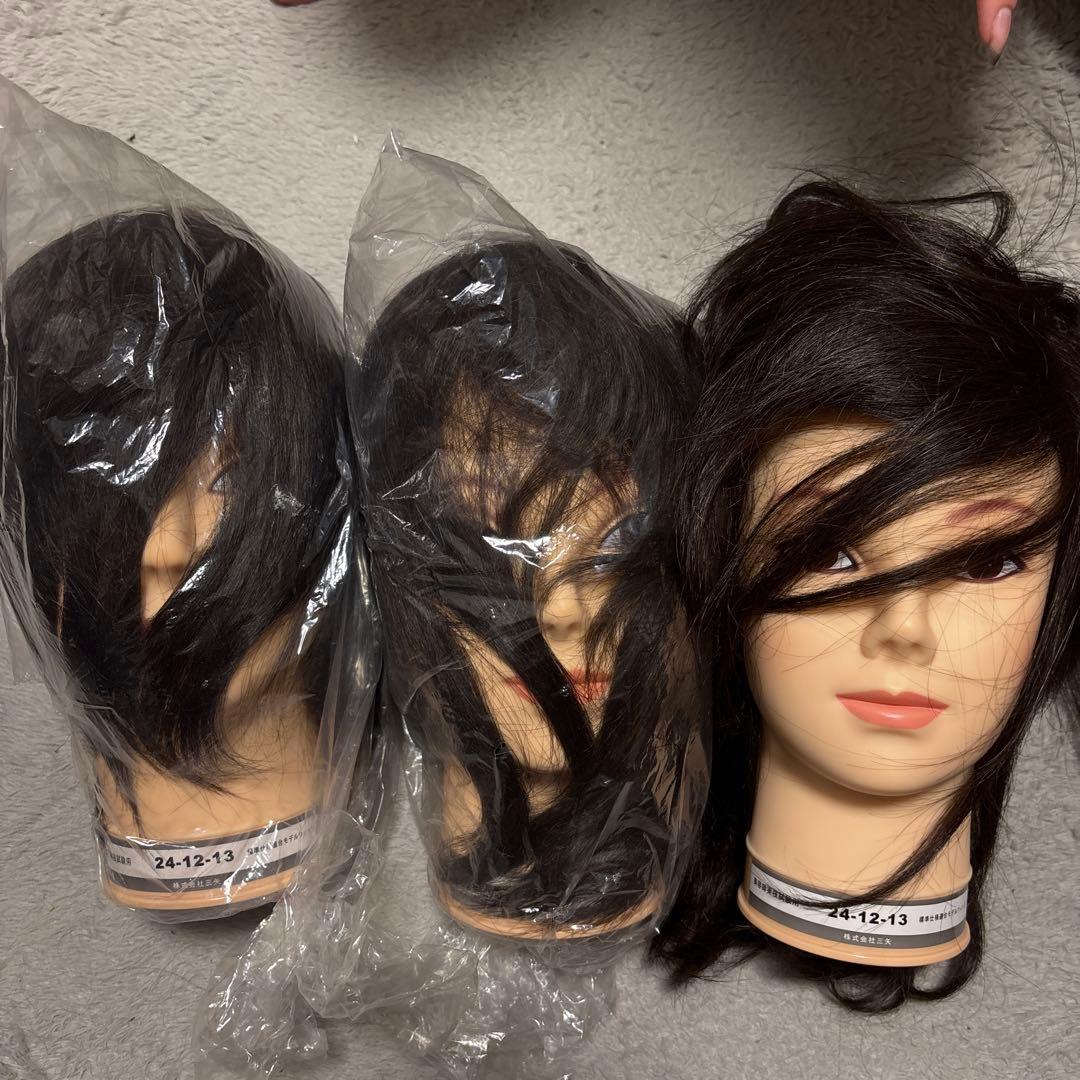 国試本番用カットウィッグ3体 カットウィッグ 美容師 マイスター 国家試験 練習 美容師国家試験 練習