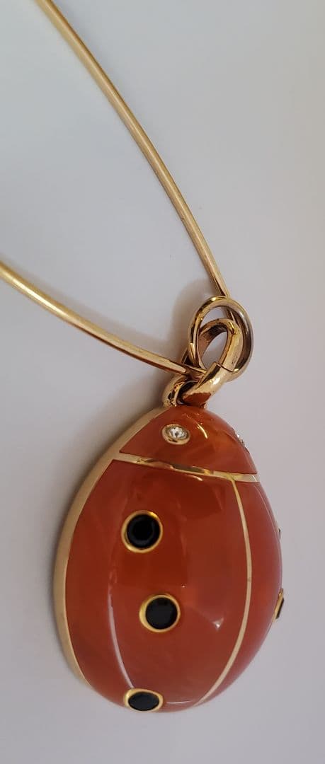 SONIA RYKIEL ソニアリキエル パリ てんとう虫 ブローチ ジュエリー