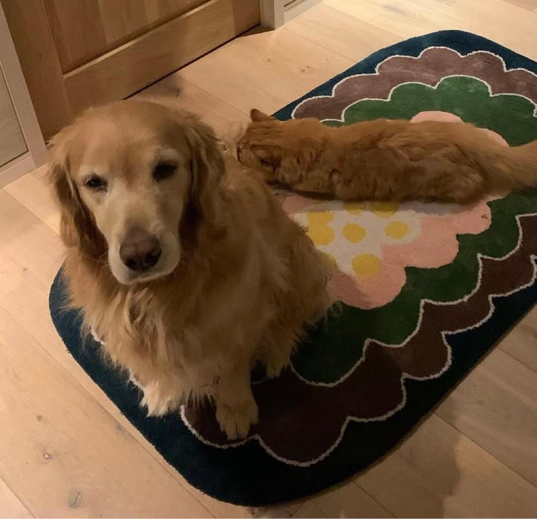 mina perhonen ミナペルホネン pudding ラグ 石田ゆり子 - メルカリ