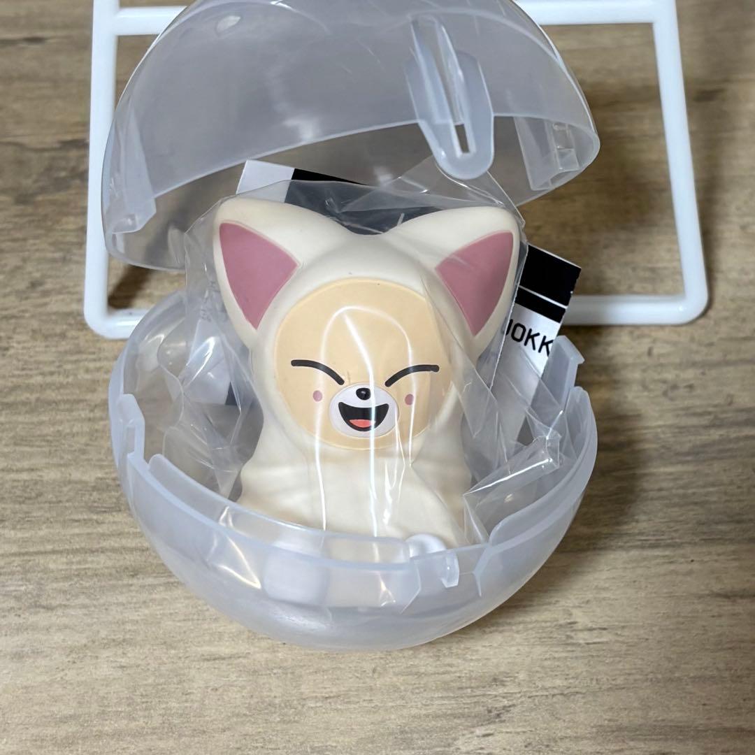 StrayKids SKZOO ライトマスコット フォクシニー アイエン - メルカリ