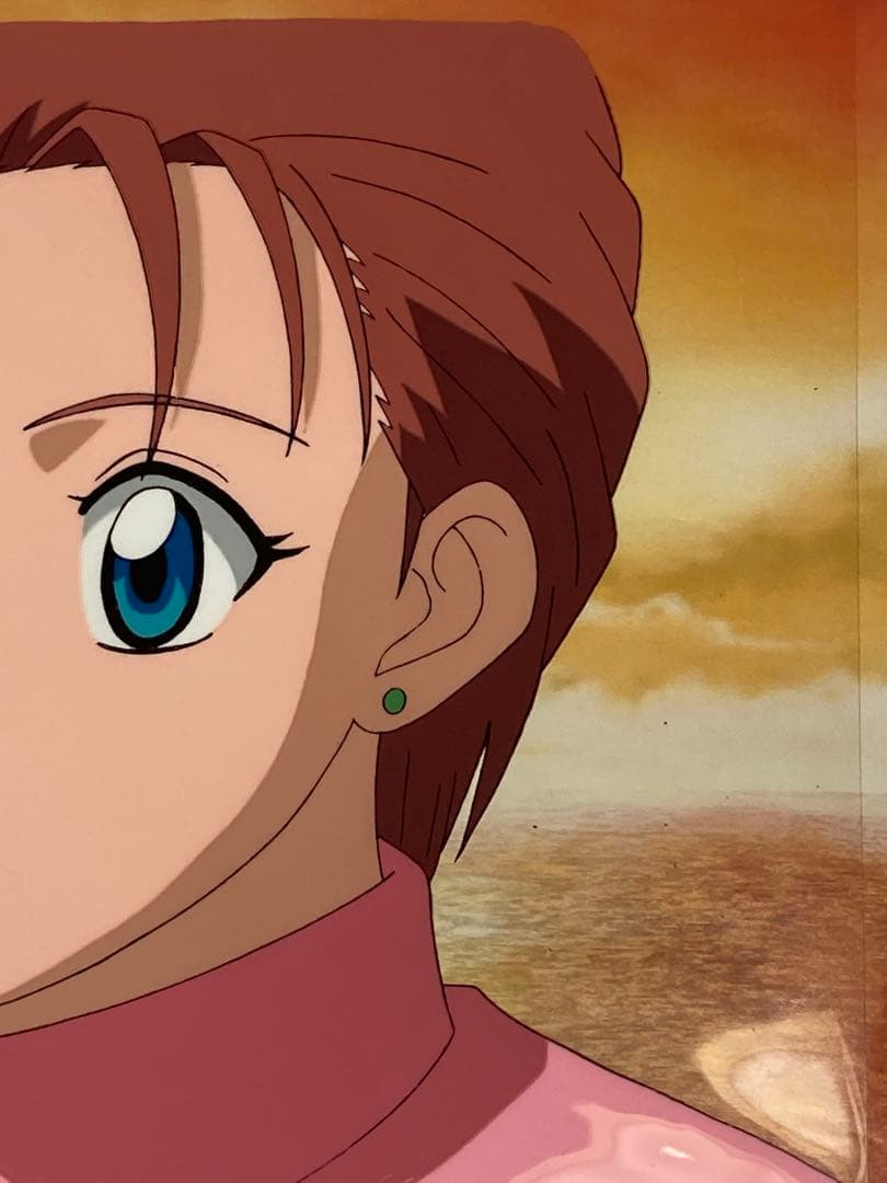 c80 中判ハンターハンターセル画【ミト】動画.背景画付き