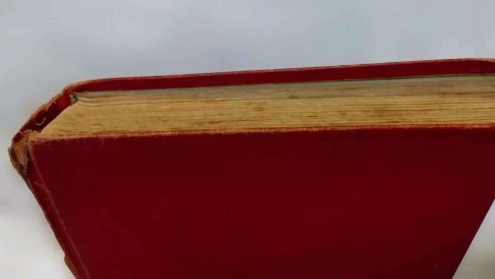 アンティーク洋書】ハイジ ドイツ語版 1900年代初頭 古書 インテリア