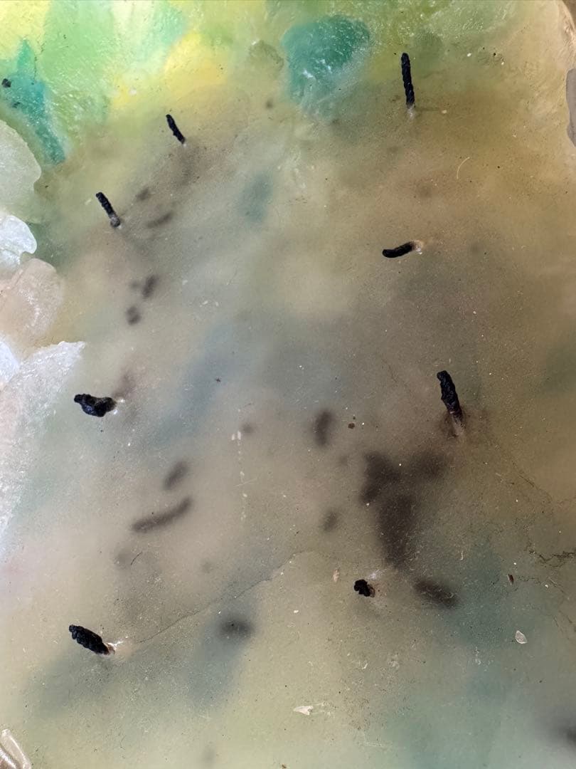 キャンドルジュン「Not the end」８灯キャンドル　undercover