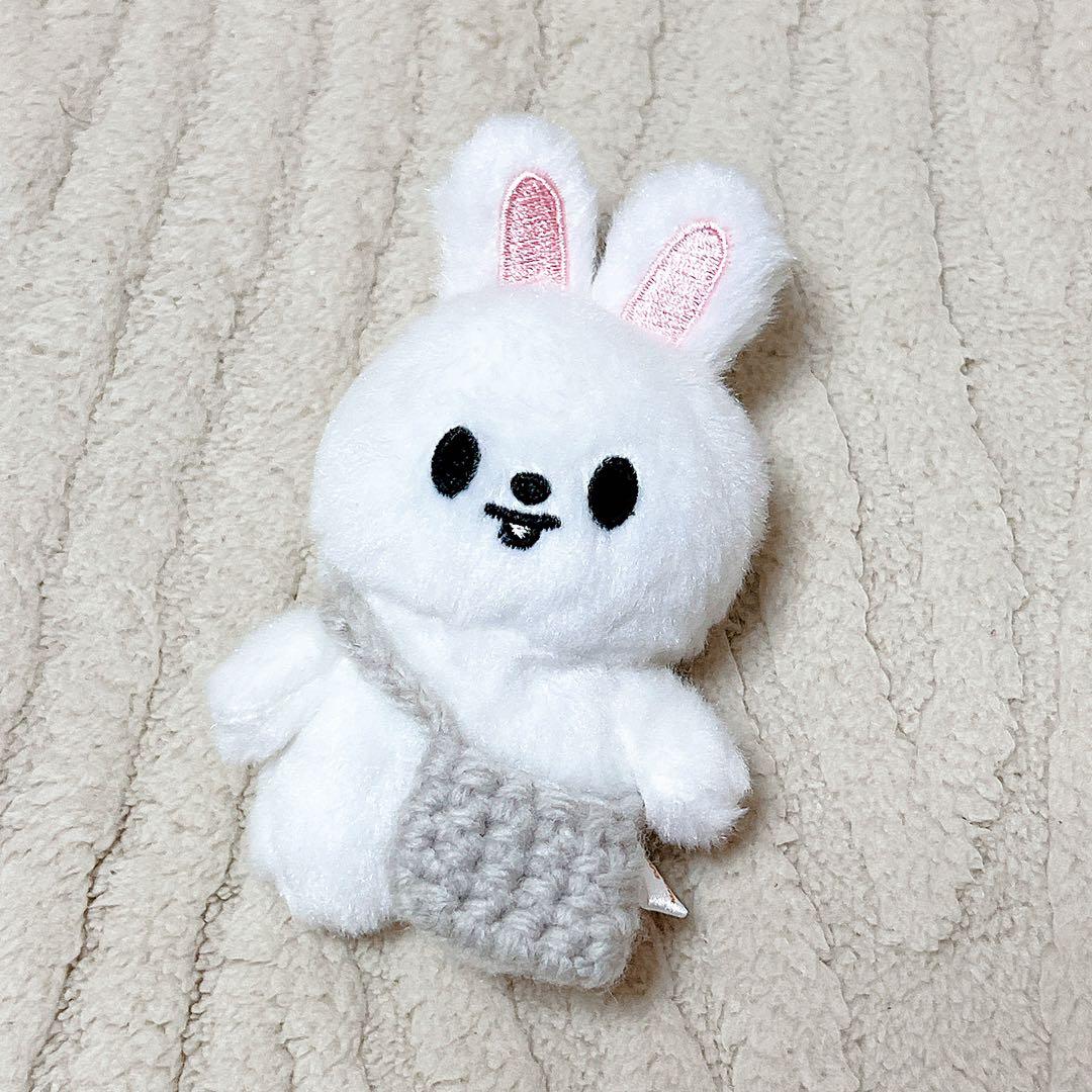 Stray Kids SKZOO 10cm ぬい用バッグ リービット リノ - メルカリ