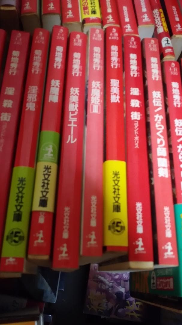 期間限定お値下げ！早い者勝ち！　菊池秀行さん　１１４冊セット