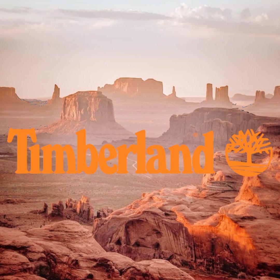 【値下げ中】Timberland ティンバーランド イエローブーツ 27.0cm