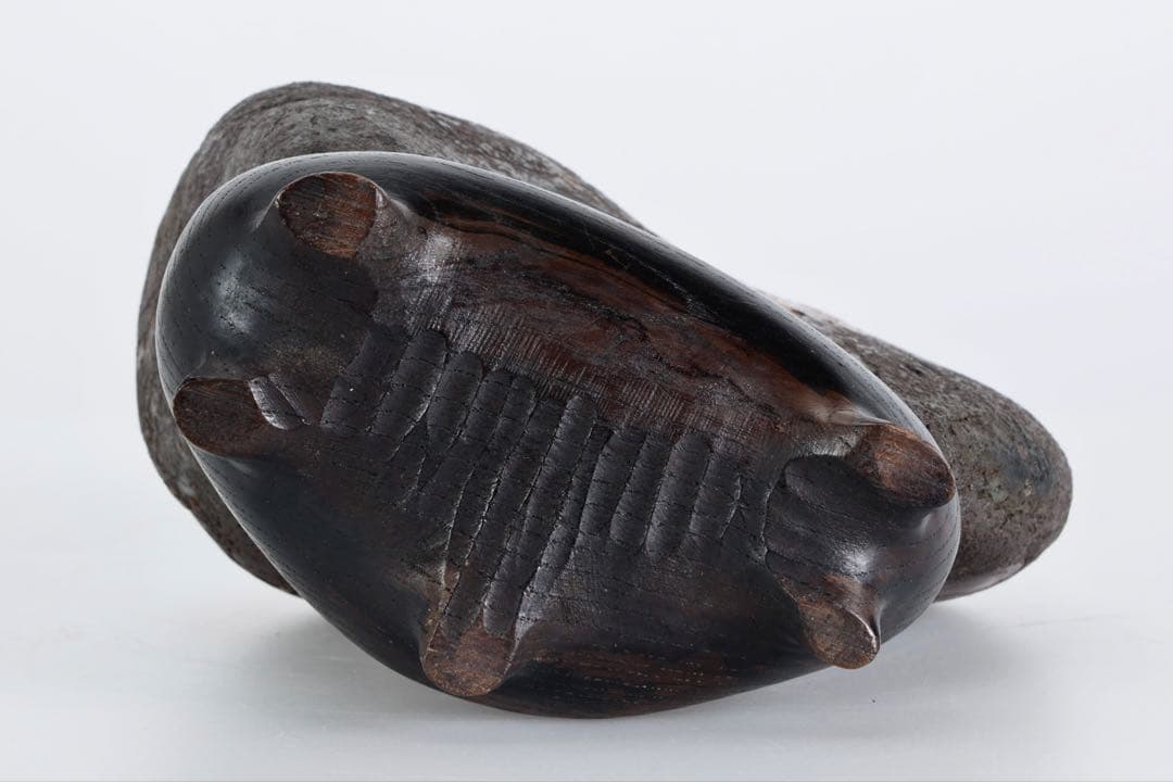 菊花石 菊紋石 1.1kg 台座・木箱付 鑑賞石 原石 水石 盆石 飾石 美石