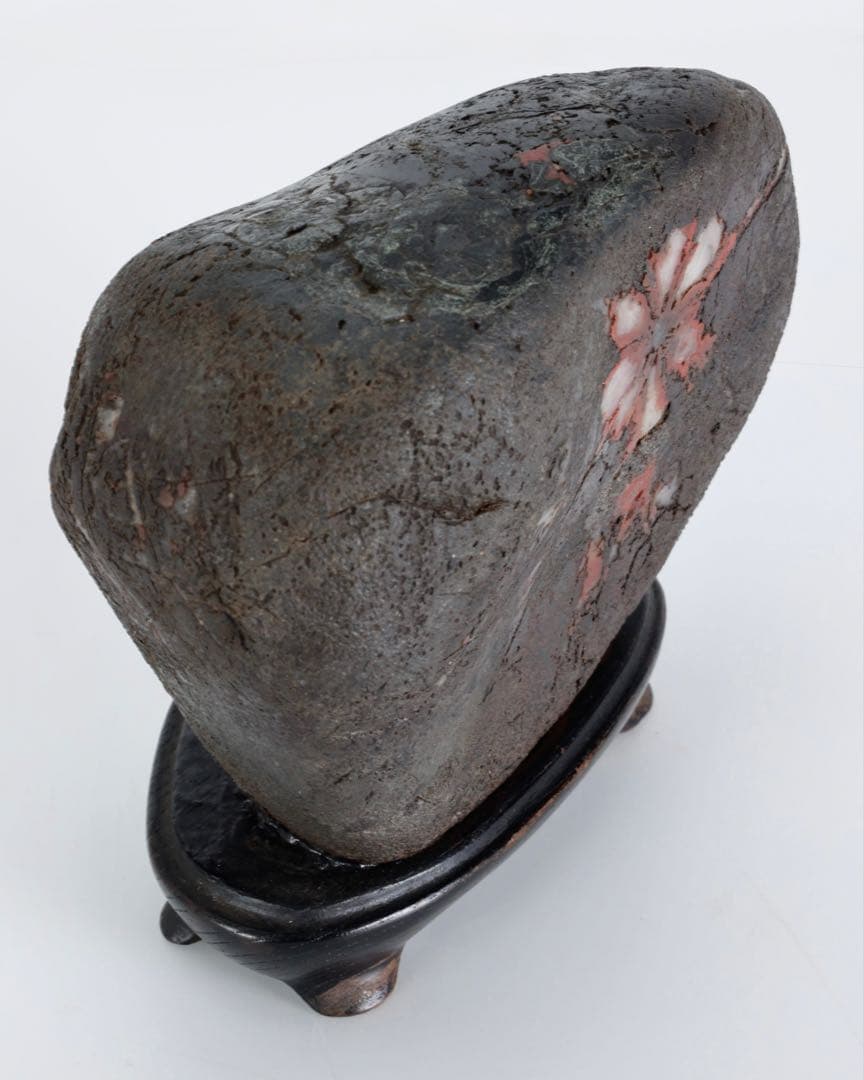 菊花石 菊紋石 1.1kg 台座・木箱付 鑑賞石 原石 水石 盆石 飾石 美石