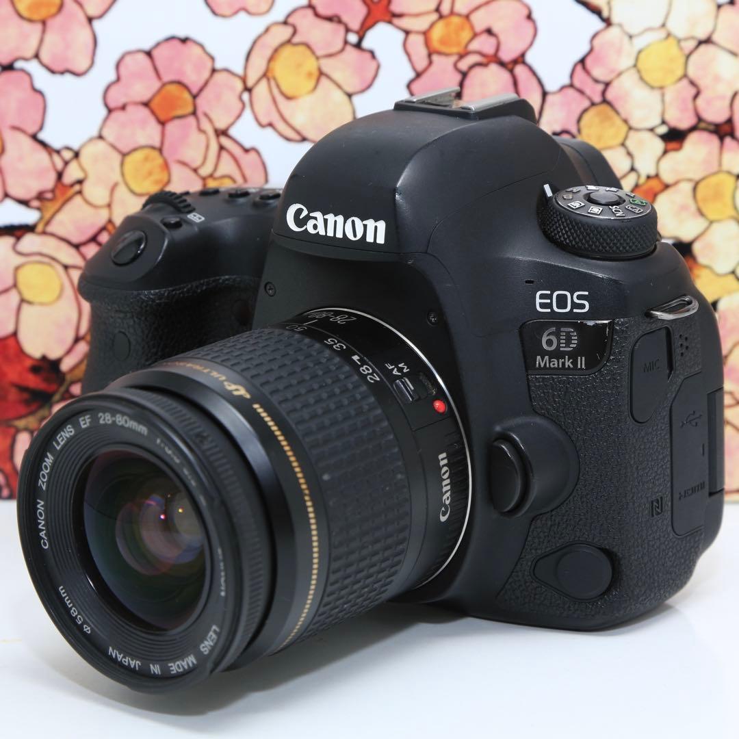 ❤フルサイズ機❤キヤノン EOS 6D markⅡ レンズセット❤ キヤノン（Canon） Canon EOS 6D Mark II 標準&超望遠＆単焦点トリプル