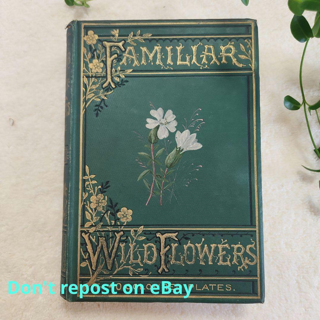 植物図鑑　洋書　ボタニカルアート　アンティーク　リトグラフ　23 ボタニカルアート 植物図鑑 リトグラフ アンティーク 植物画 絵画