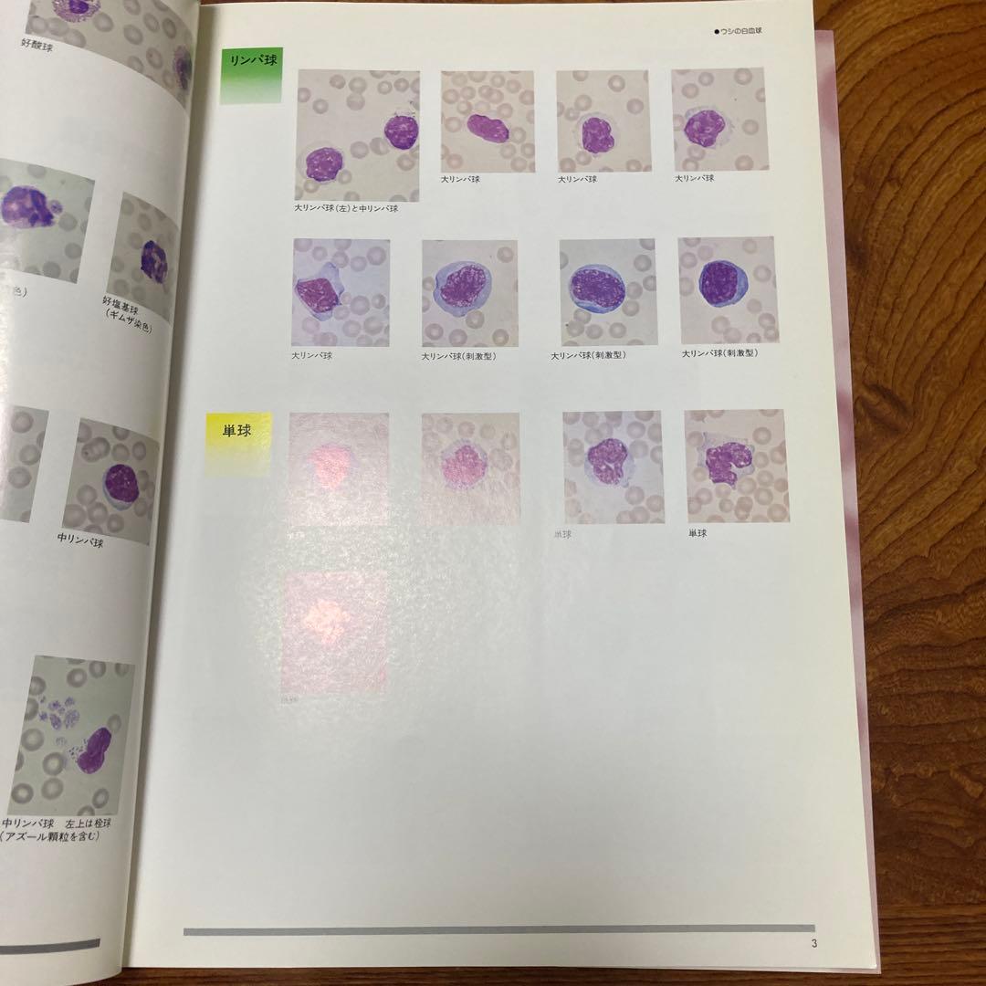 家畜血液図説 チクサン出版