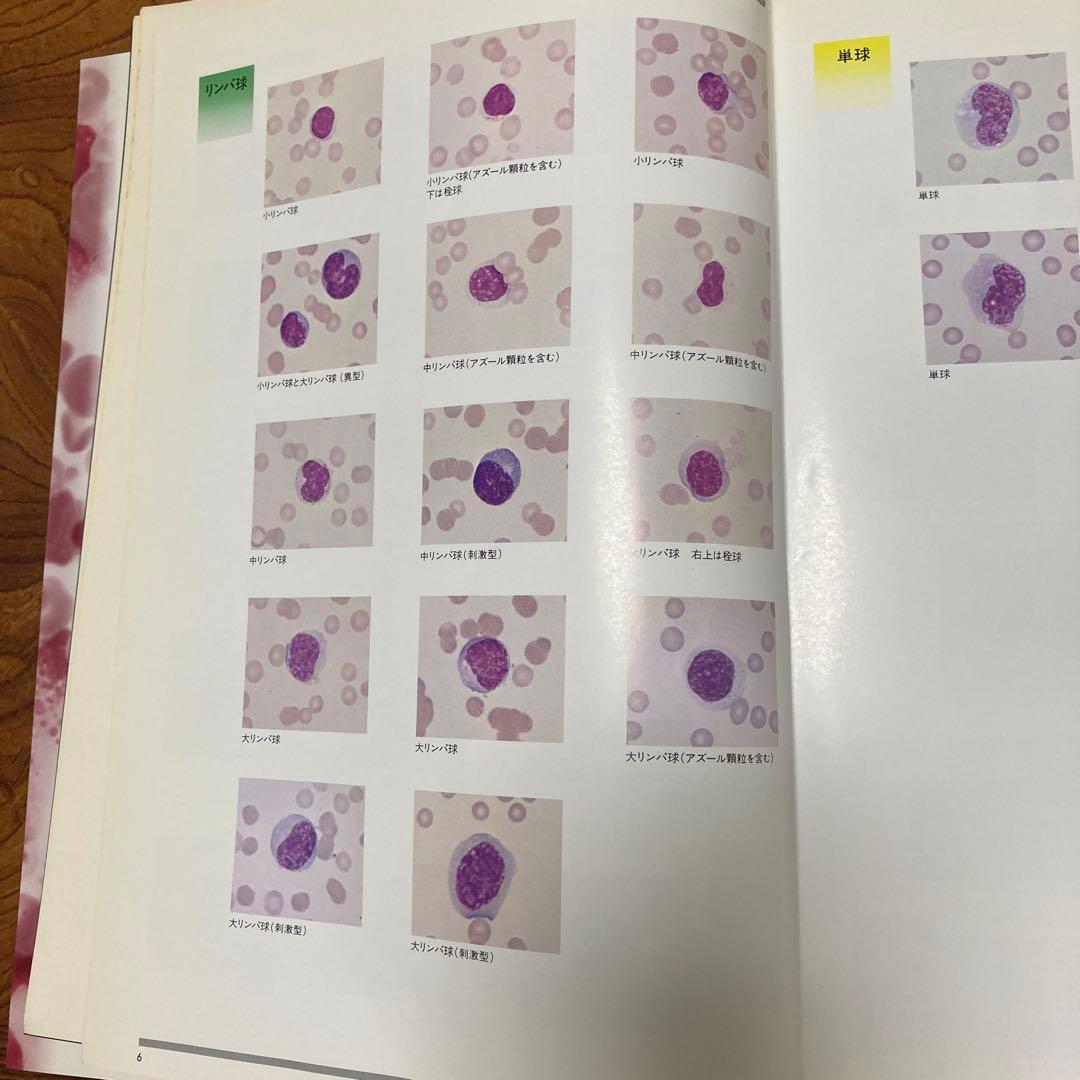 家畜血液図説 チクサン出版