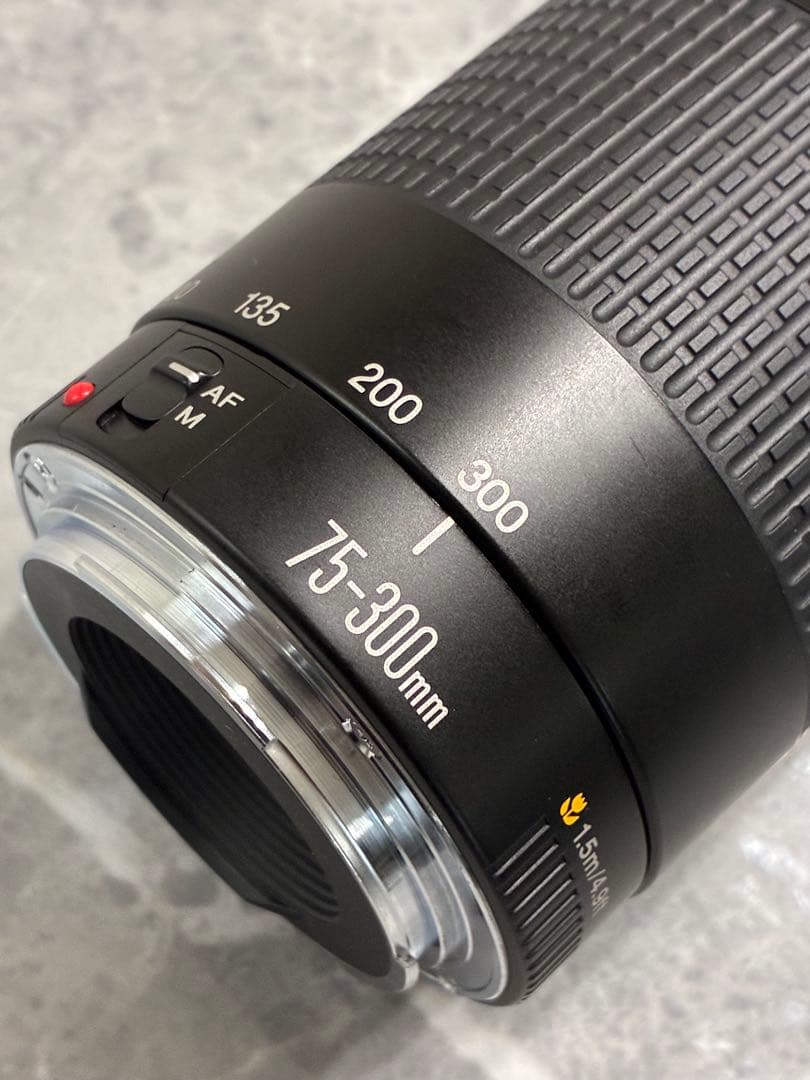 ⭐️美品⭐️キャノン Canon EF 75-300mm F/4-5.6 II 望遠