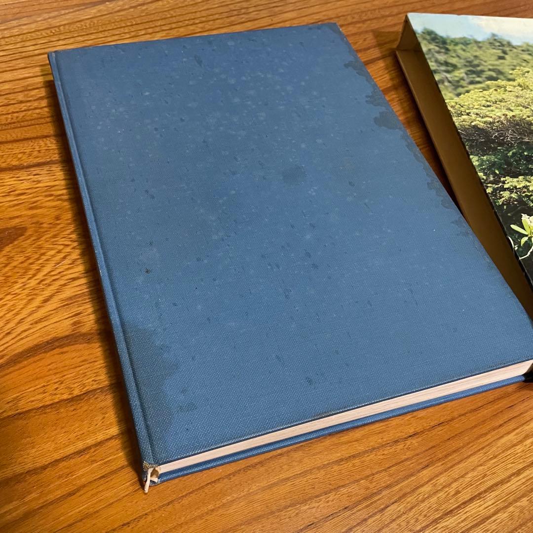 松柏盆栽大観 BONSAI MASTERPIECES OF CONIFERS - メルカリ