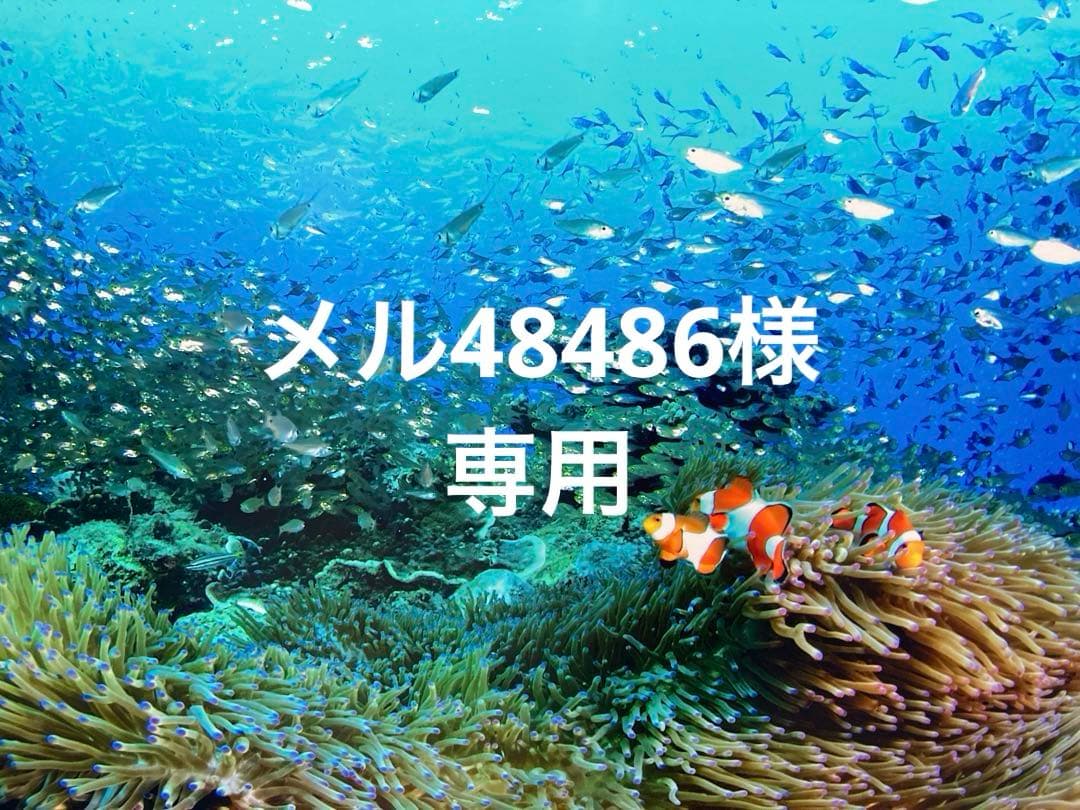 エンビロンモイスチャージェル2クリーム3アヴァンスセラム エンビロンのスキンケア・基礎化粧品 モイスチャージェル2他、3商品を