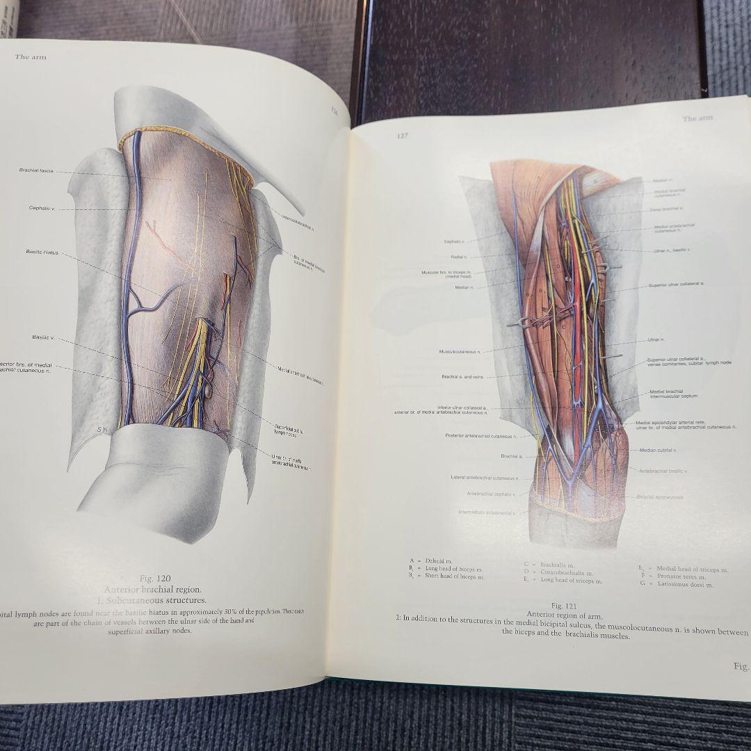 ペルンコップ臨床局所解剖学アトラス 第2巻 - メルカリ