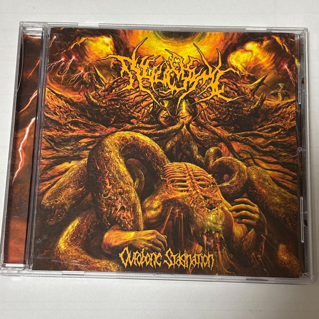 【ラプンツェル様用】NEUROGENIC /Ouroboric Stagnati Tainted Love - Funny Romance Gift Box | GIANTmicrobes