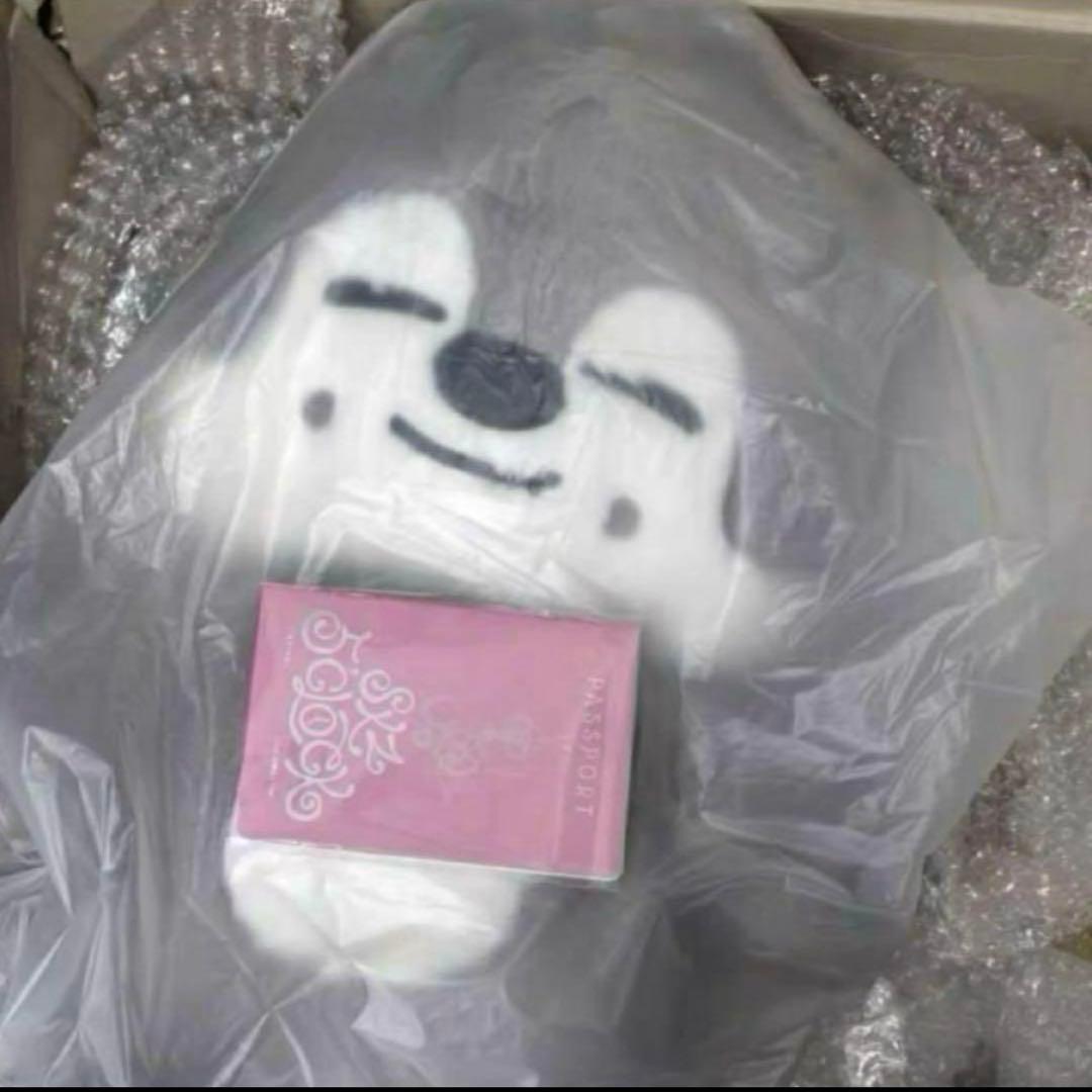 straykids スキズ テディベア SKZOO ウルフチャン　teddy s-l400.jpg