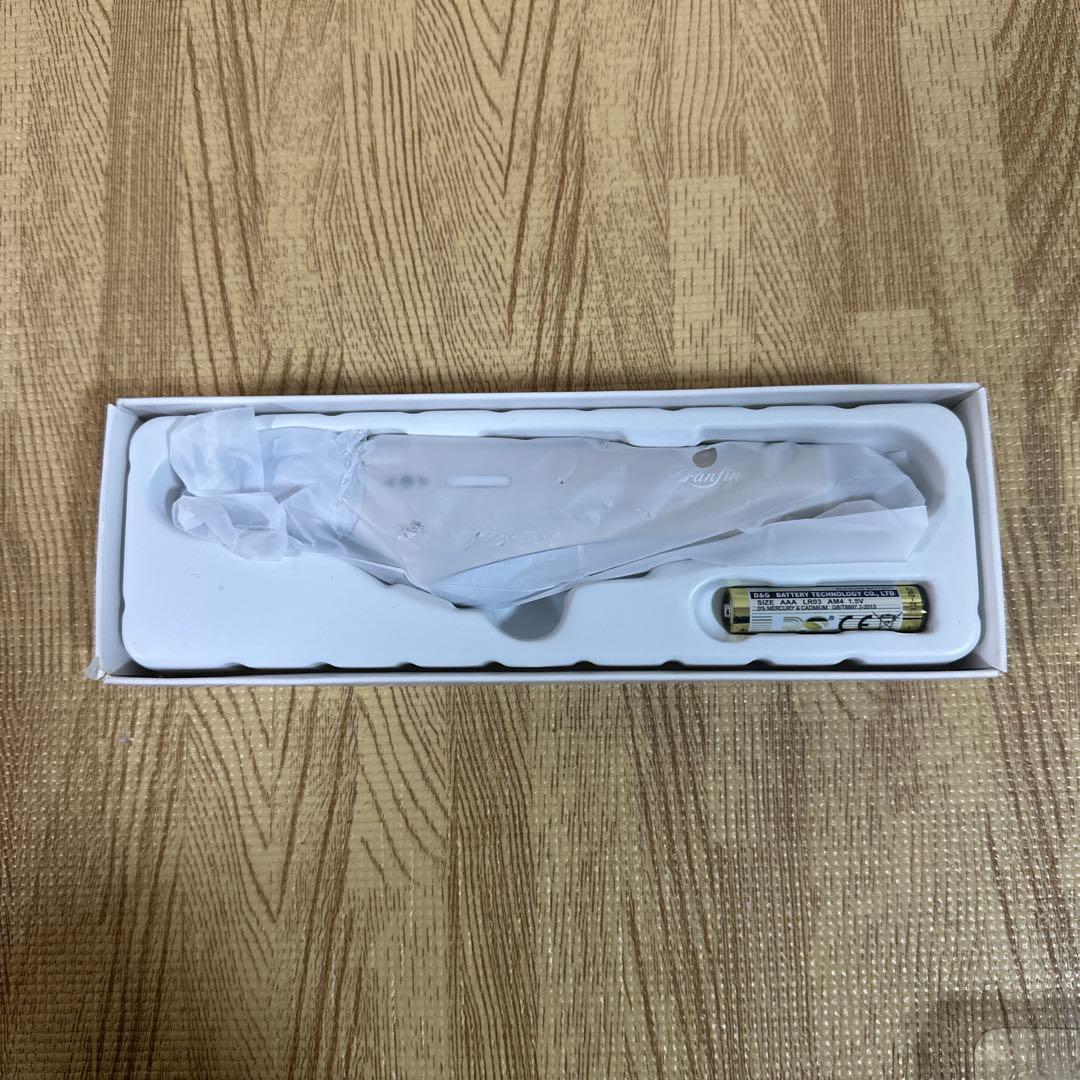 新品　ブランフィーネ　スーパートリプルブースター ブランフィーネ スーパートリプルブースター[EMS美顔器] ブラン