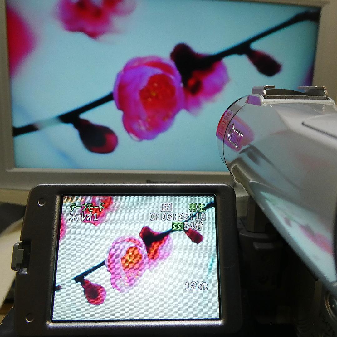 キャノン DM-FV M200 動作良好 MiniDVビデオ DVDダビングに - メルカリ