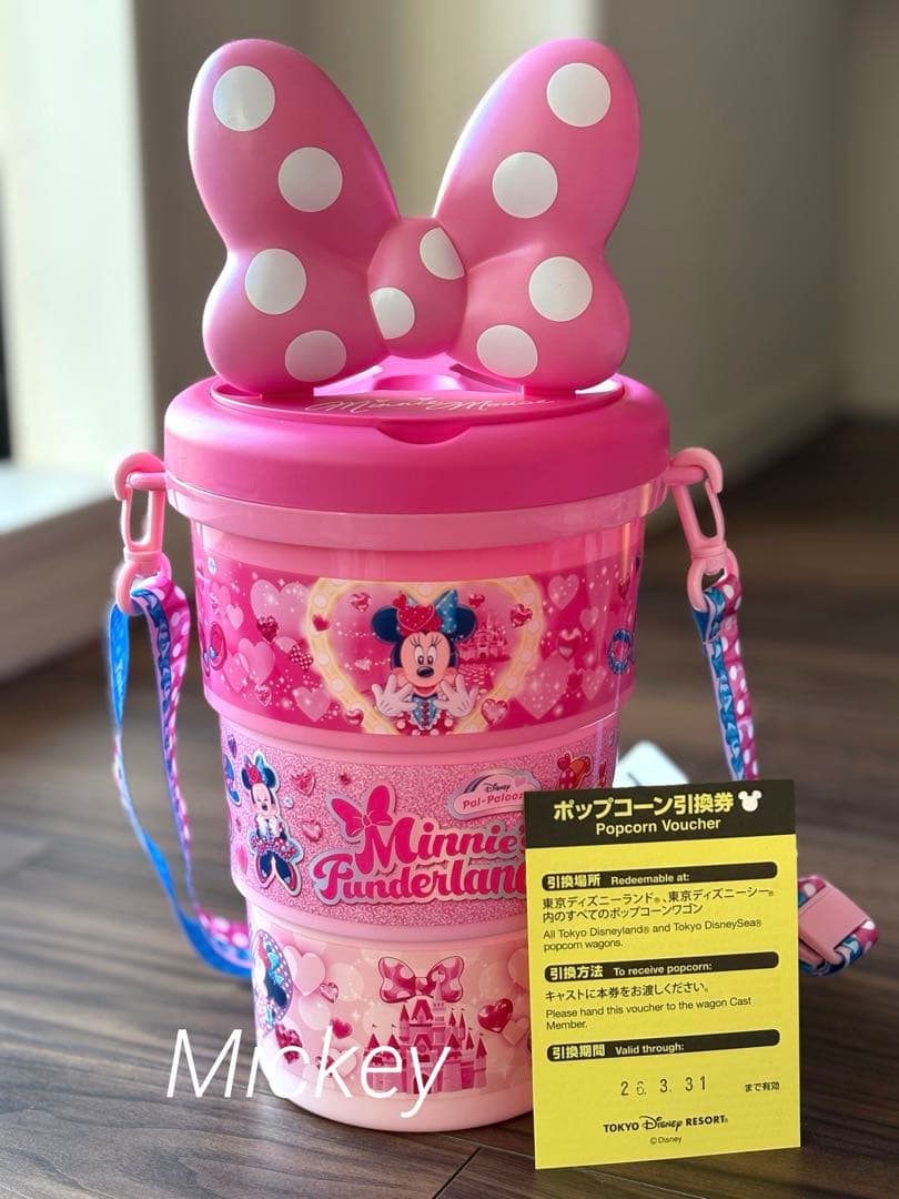 ディズニー パルパルーザ ミニーのファンダーランド ポッ