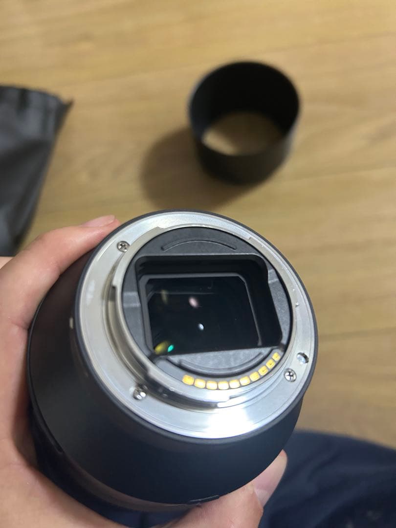 SONY SEL 70-300mm F4.5-5.6 Gレンズ OSS