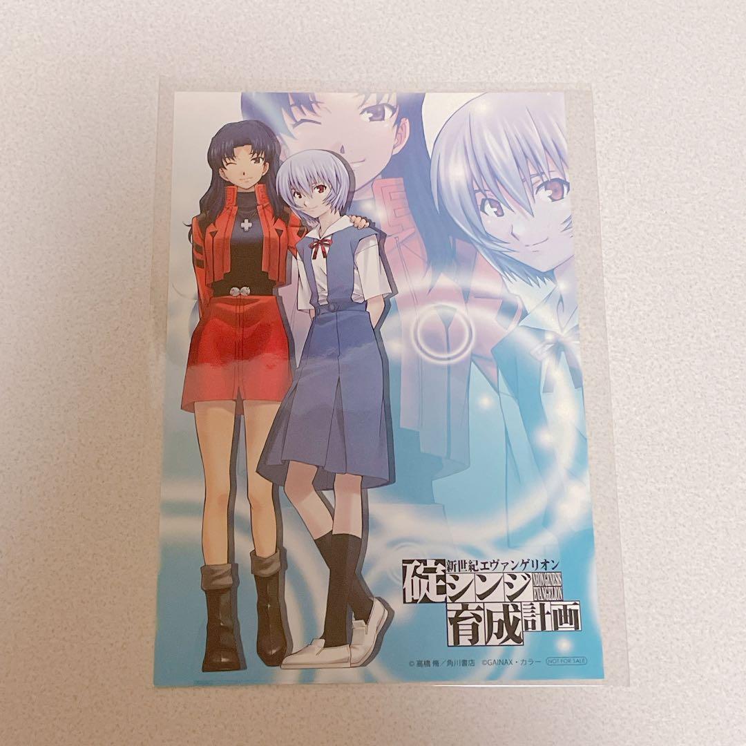 エヴァンゲリオン 碇シンジ 育成計画 限定 ポストカード 綾波レイ 葛城