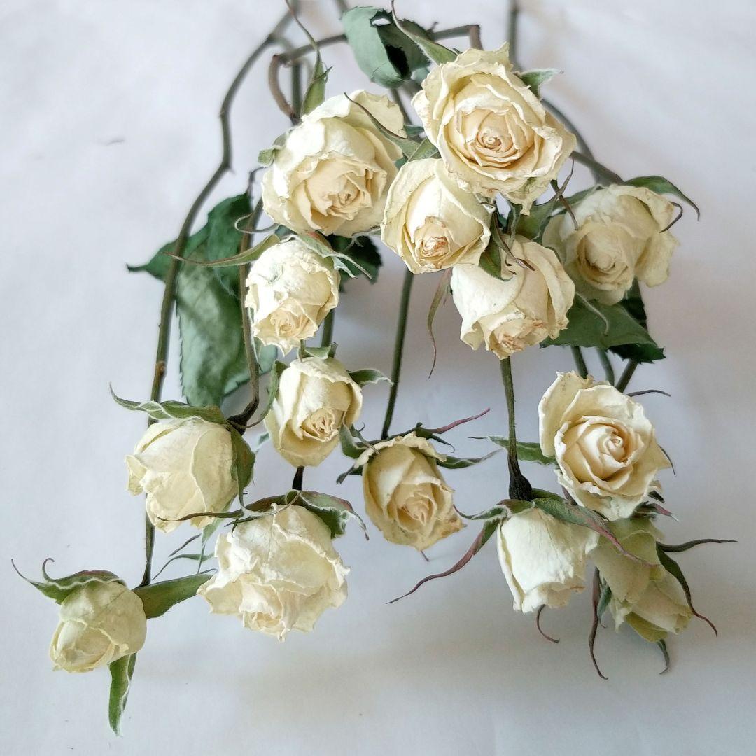 壬是様 リクエスト 7点 まとめ商品