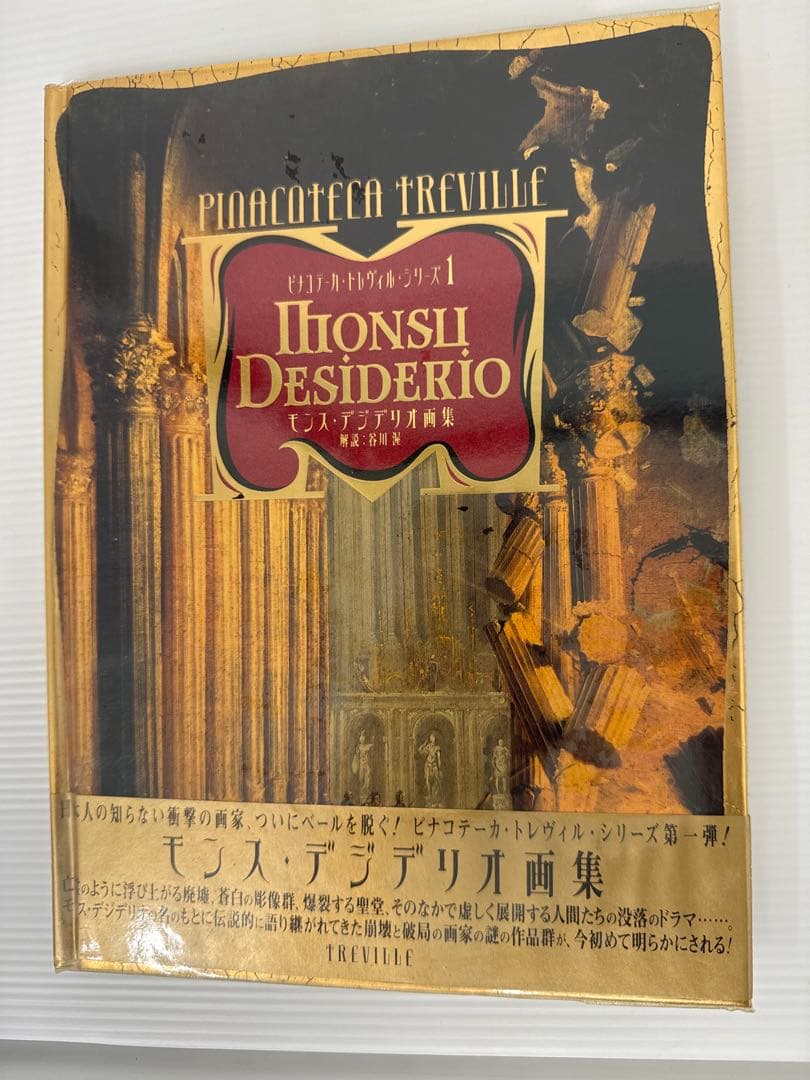 【絶版・美品】トレヴィル画集 全10巻セット ピナコテーカ・トレヴィル・シリーズ 全10巻揃(谷川渥 他) / 古本