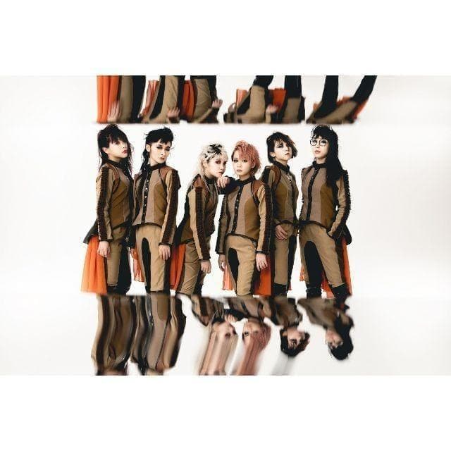 初回生産限定盤 BiSH CARROTS and STiCKS DVD