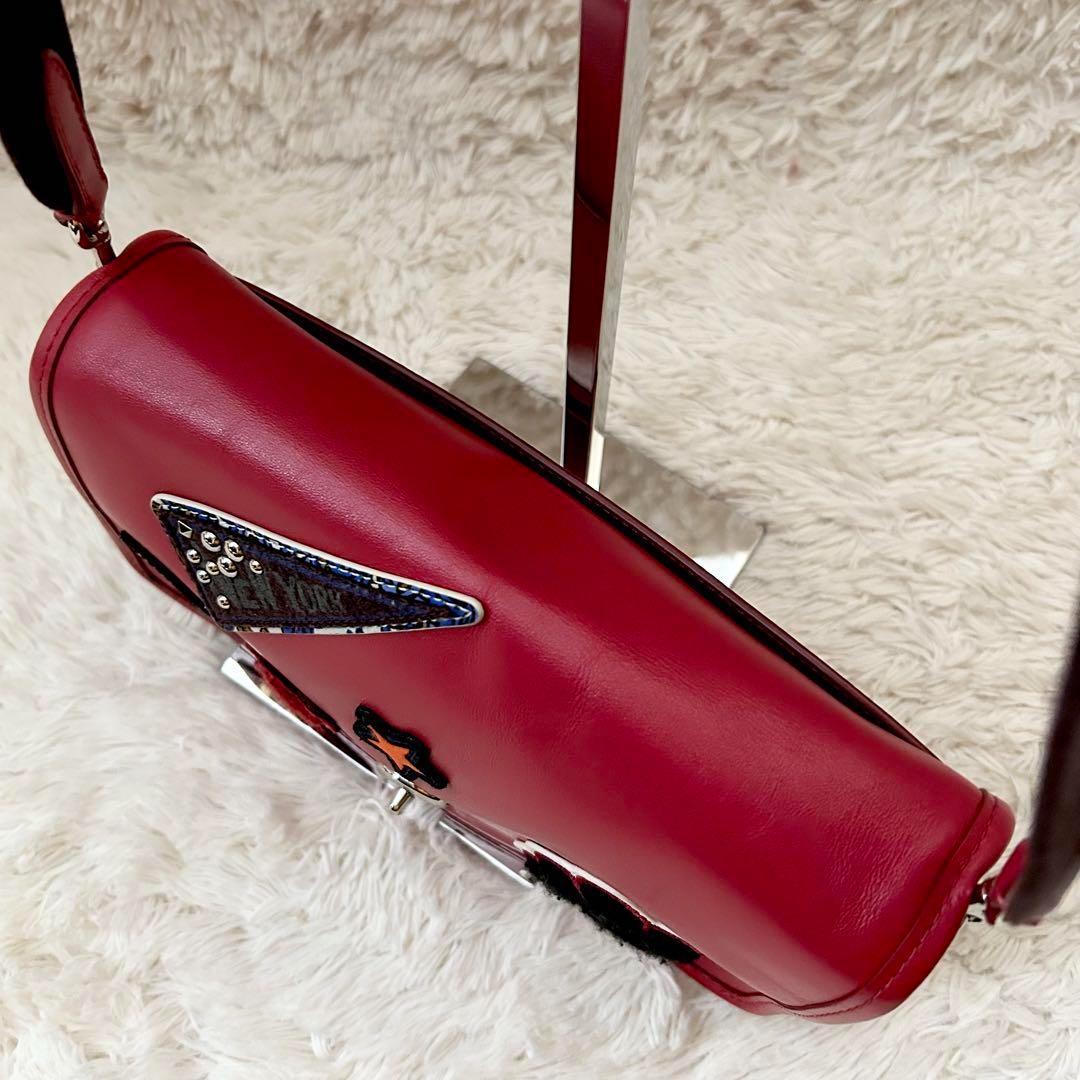 極美品 コーチ ウィズ ペニー ショルダーバッグ カメラバッグ クロス