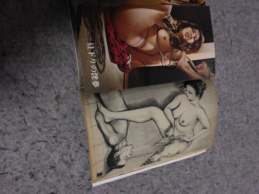 ★入手困難★匿名配送 昭和レトロ S&Mコレクター16冊 団鬼六、春川ナミオ他