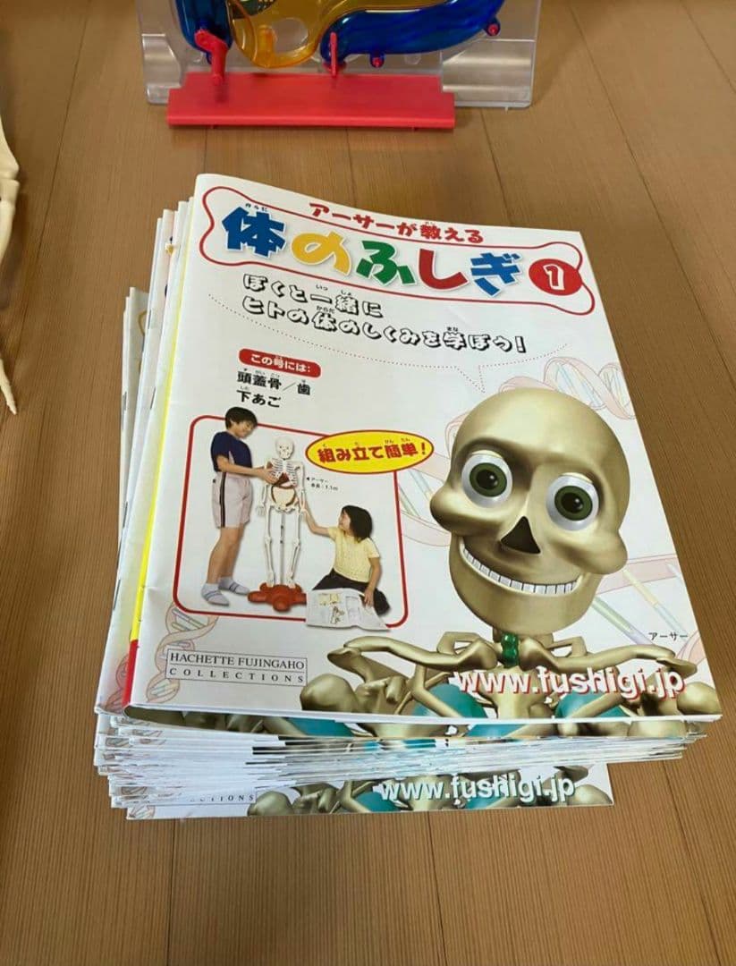 アーサーが教える体のふしぎ 1~ 80巻セット人体模型 - メルカリ