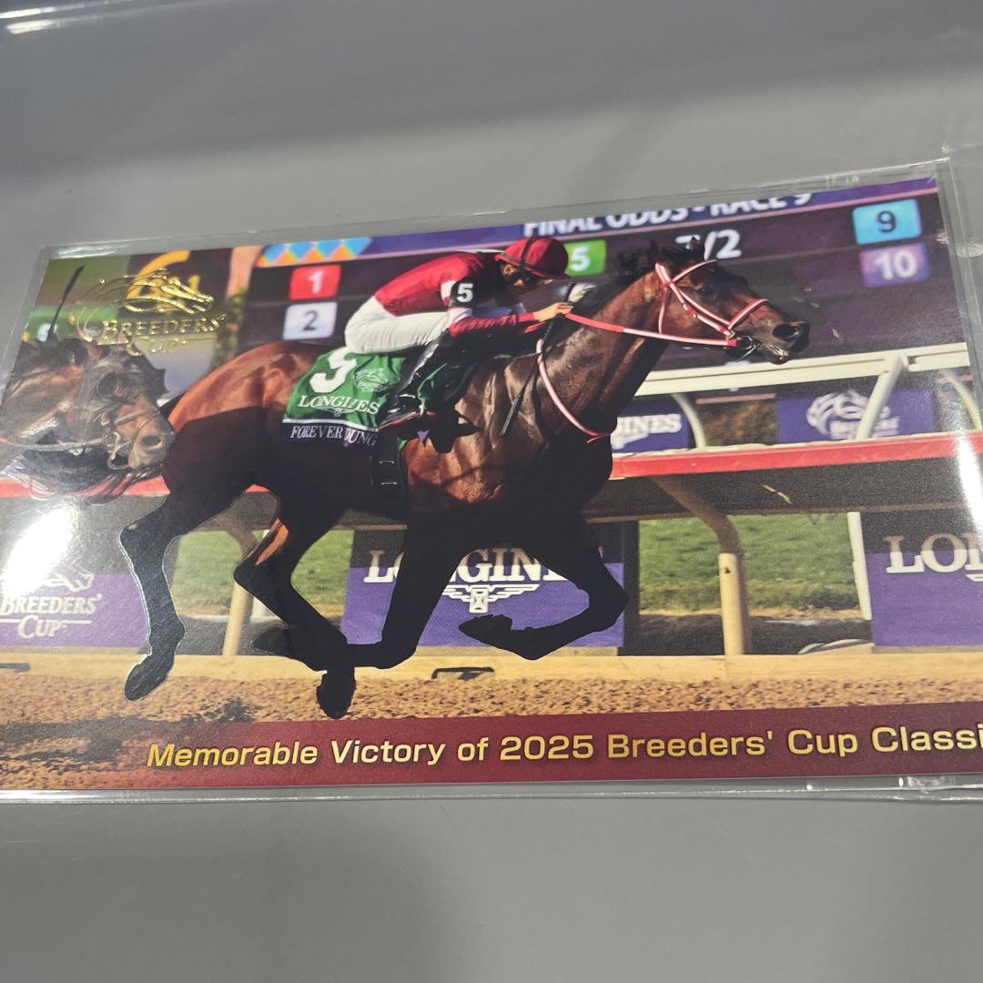 フォーエバーヤングオリジナルキャップ、ポストカード - メルカリ