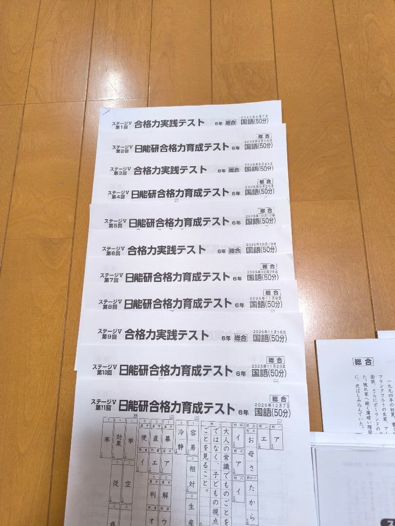 最新2025年度日能研 学習力育成テスト 後期 6年生全11回分