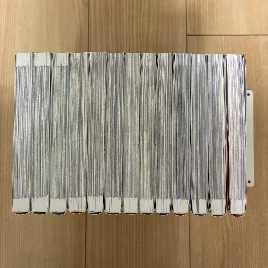 ある日、お姫様になってしまった件について　全13巻セット【完結】