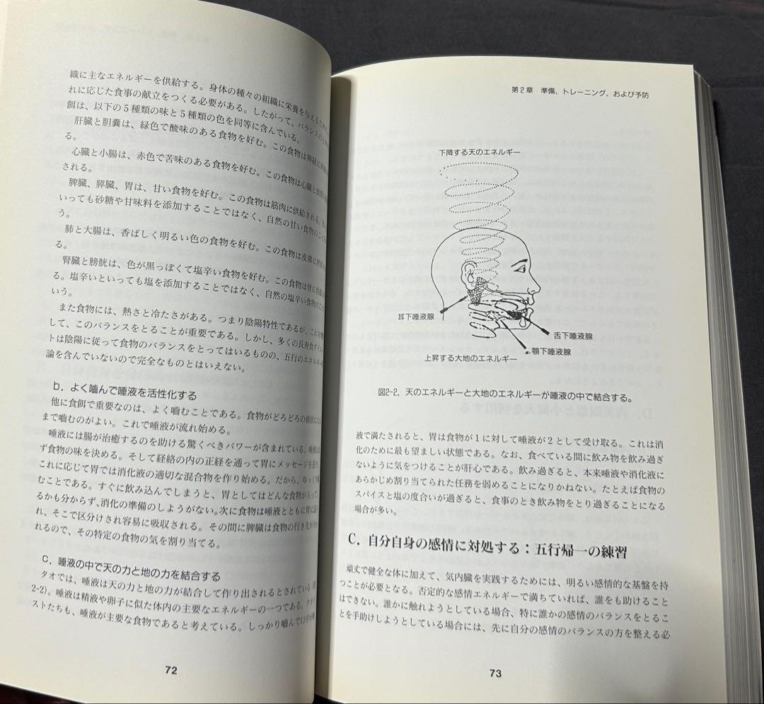 気内臓療法 チネイザン 謝明徳 マンタク・チャ ヒーリング 気功 太極拳