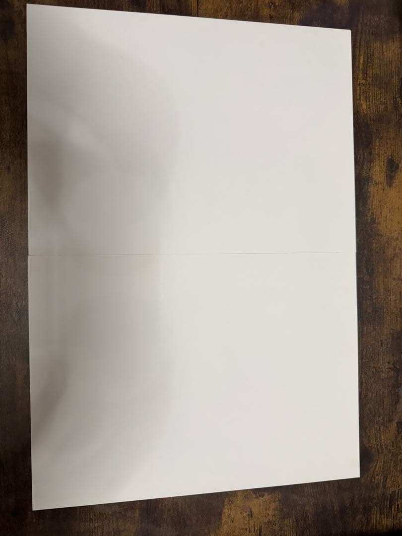 ONEPIECE 複製原画 ビブルの秘宝② エース - メルカリ