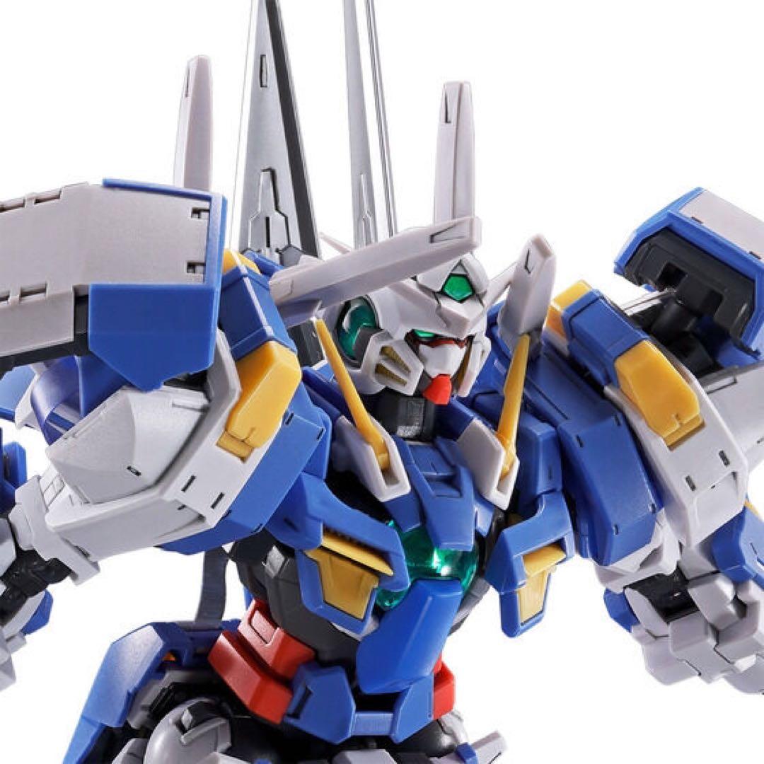 プレミアムバンダイ限定】RG 1/144 ガンダムアヴァランチエクシア