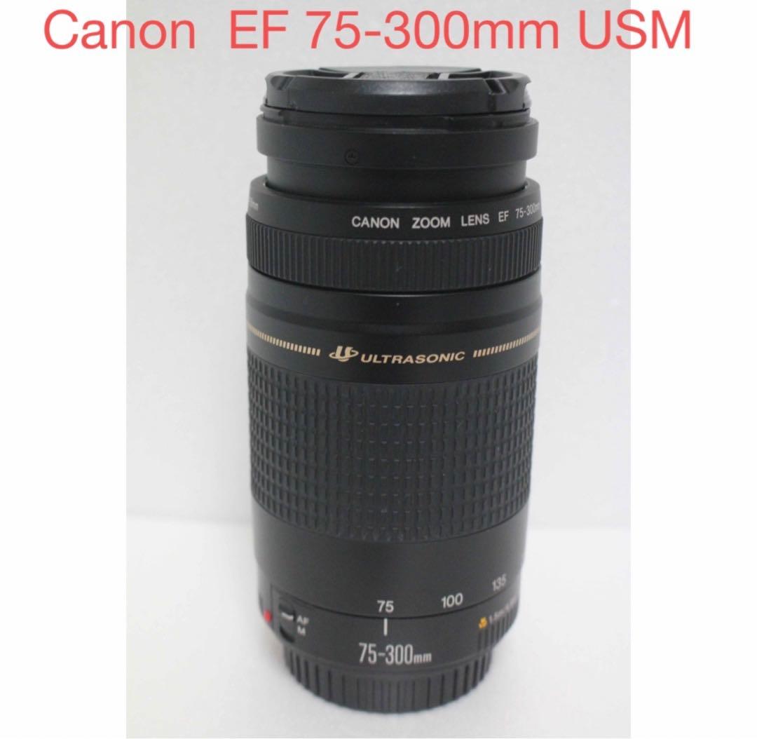 望遠レンズ☆キャノン☆Canon EF 75-300mm USM EF75-300mm F4-5.6 IS USM - キヤノンカメラミュージアム