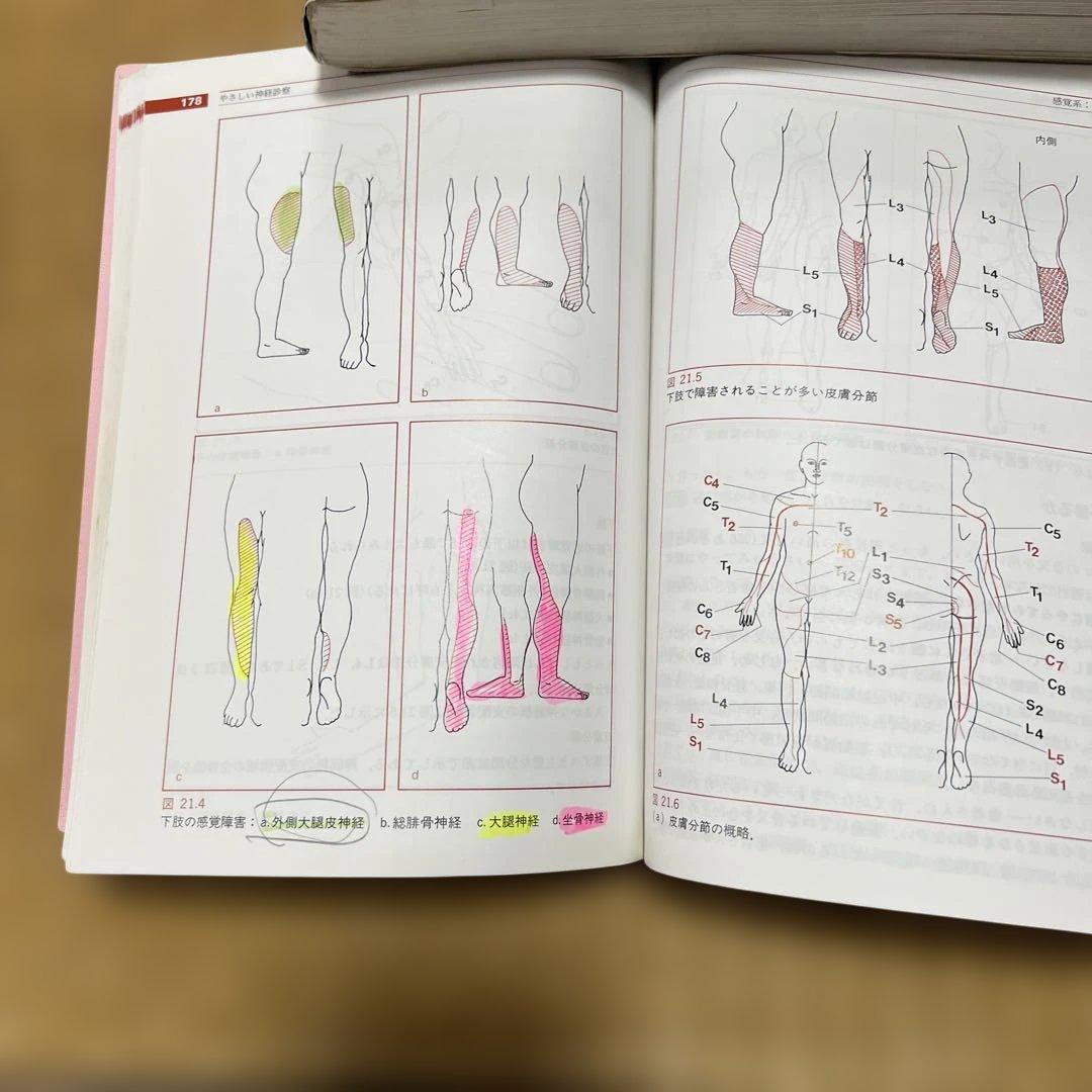 解剖学・神経診察関連書籍セット まとめて4冊 - メルカリ