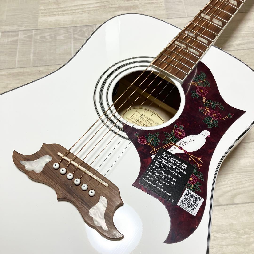 Epiphone GUARANTEED Ltd ED DOVE PRO/AW