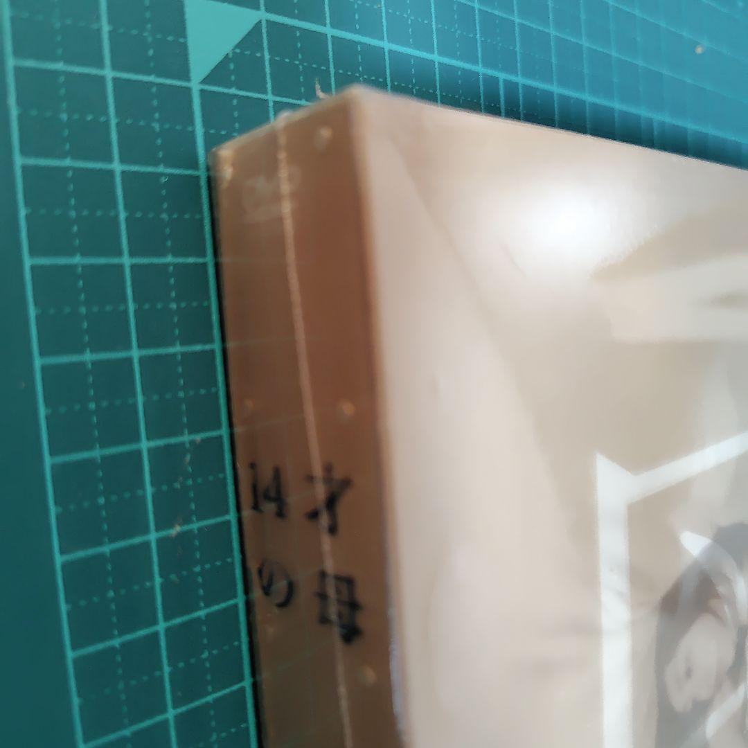 14才の母 愛するために 生まれてきた DVD-BOX〈5枚組〉新品未開封