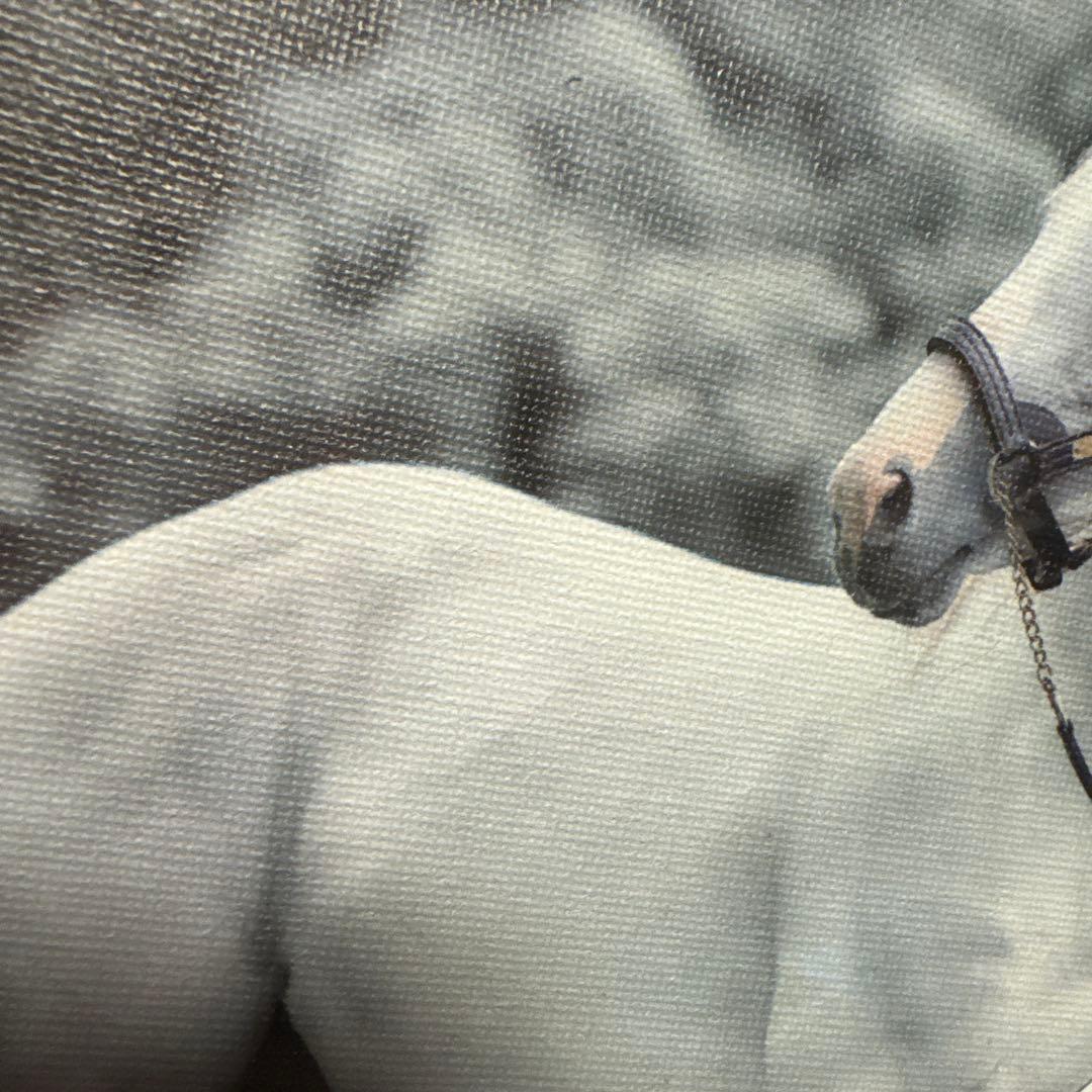 限定品♡ゴールドシップ インテリア キャンバスボード 競馬/午年