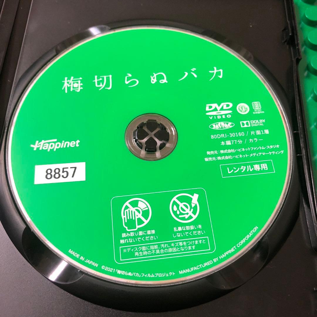 梅切らぬバカ　DVD