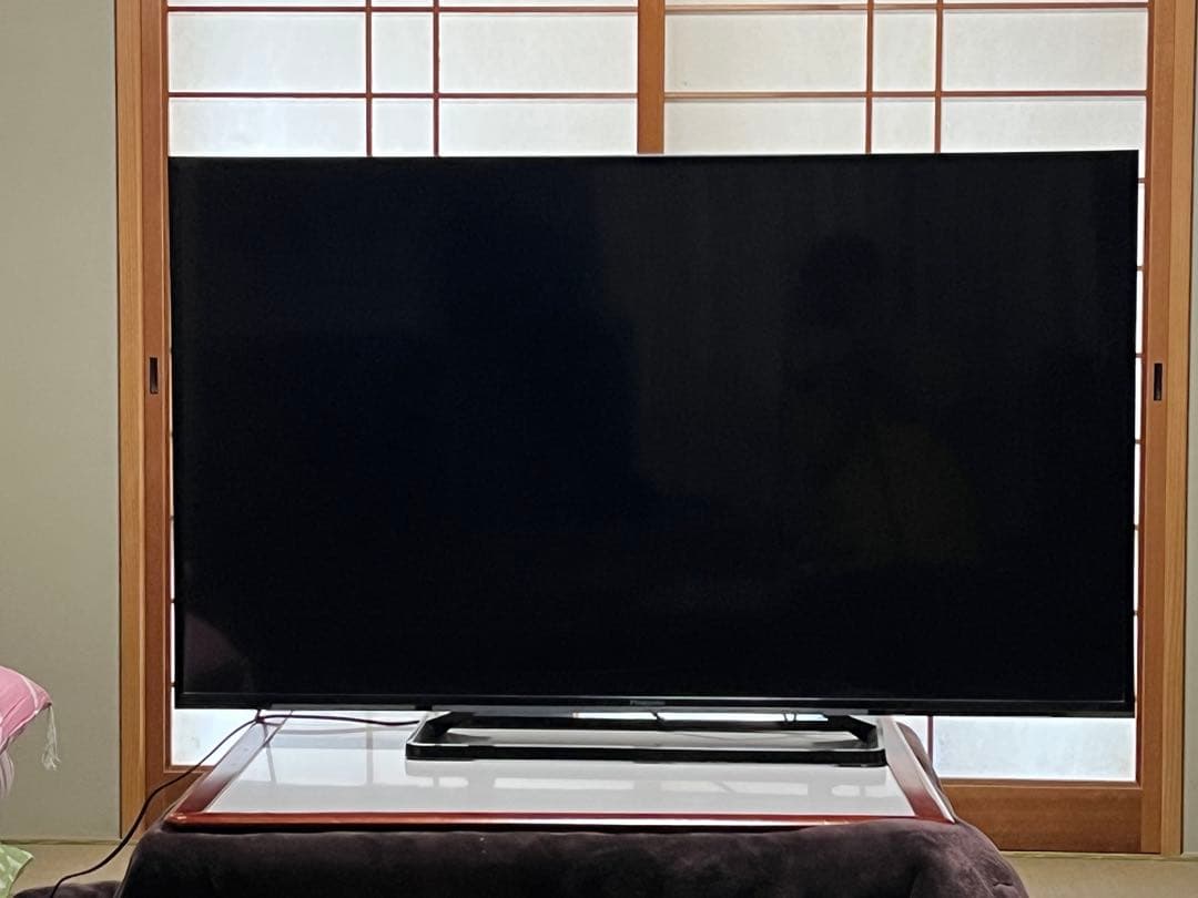Panasonic TH-49E300 49インチ液晶テレビ【訳あり品】 TH-49E300 液晶テレビ VIERA(ビエラ) ブラック [49V型 /フル