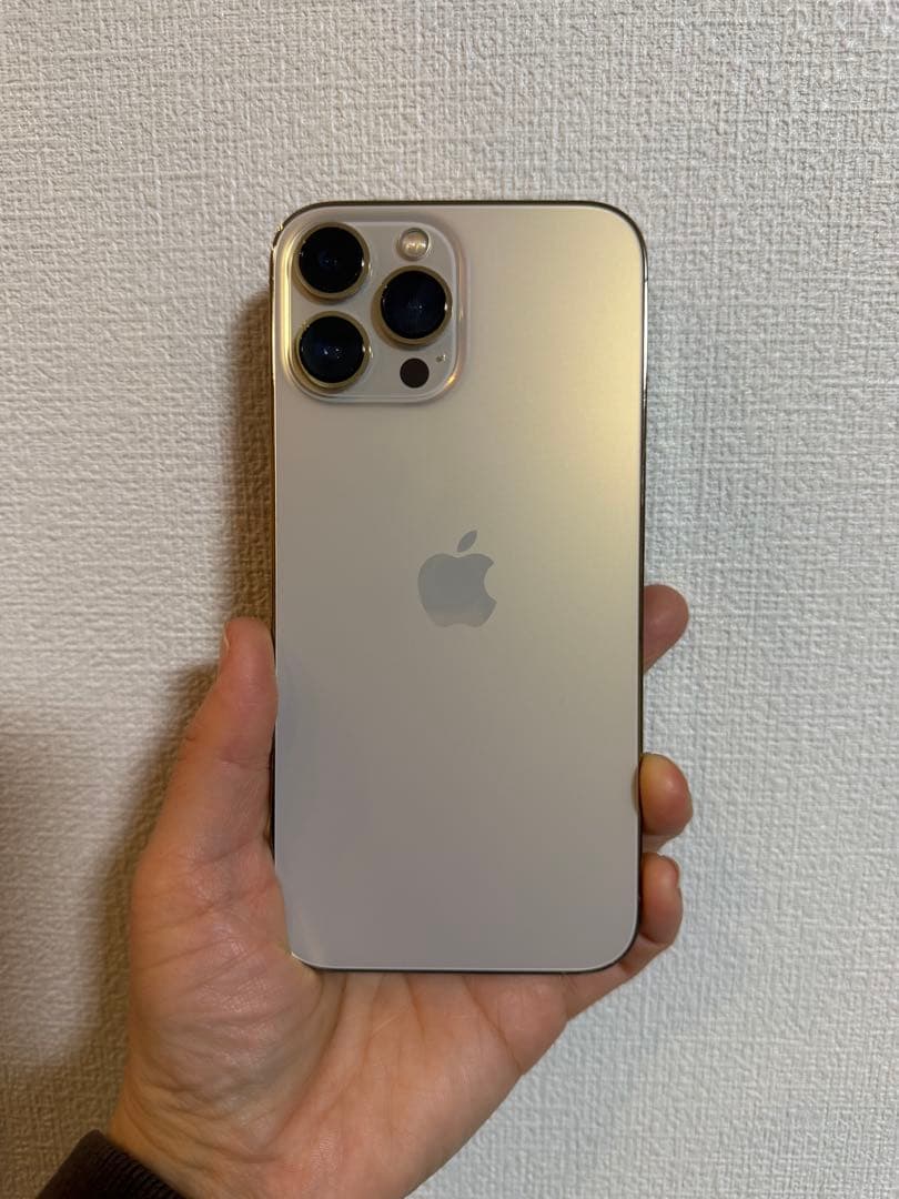 【中古品訳あり】iPhone13 Pro MAX 256GB iPhone 13 Pro Max 訳あり・ジャンク 31,800円 | ネット最安値の価格